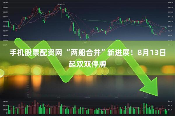 手机股票配资网 “两船合并”新进展!8月13日起双双停牌