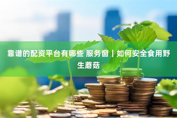 靠谱的配资平台有哪些 服务窗｜如何安全食用野生蘑菇