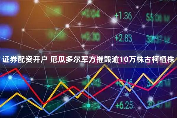 证券配资开户 厄瓜多尔军方摧毁逾10万株古柯植株
